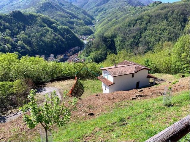 Villa Indipendente in vendita a Unione dei comuni Media Valle del Serchio, Ponte A Serraglio