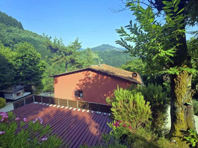 Villa Indipendente in vendita a Unione dei comuni Media Valle del Serchio, Ponte A Serraglio