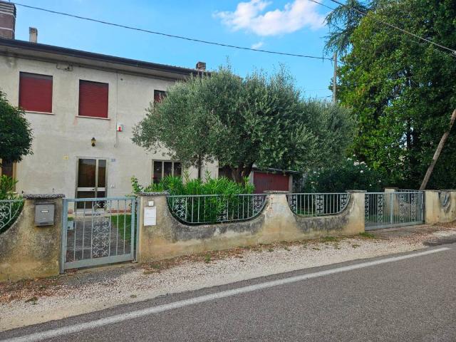Villa Indipendente in vendita a Trecenta, Veneto