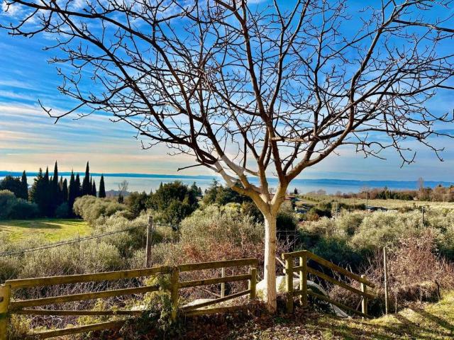 Villa Indipendente in vendita a Bardolino, Veneto