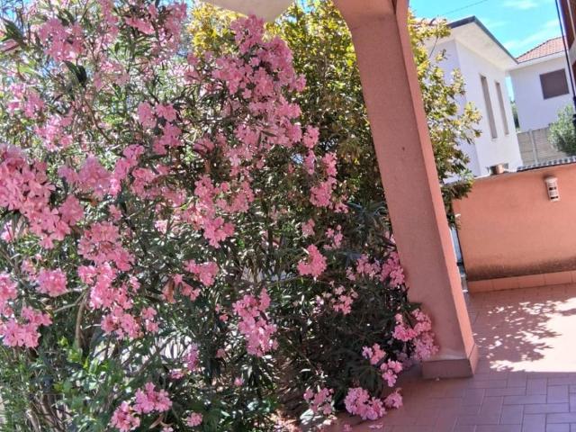 Villa Indipendente in vendita a Bareggio, Lombardia