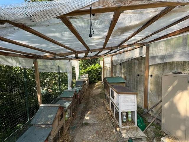 Villa Indipendente in vendita a Bargagli, Liguria