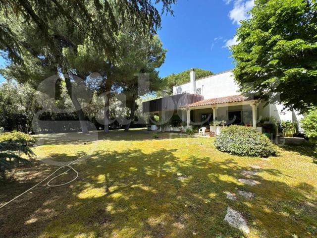 Villa Indipendente in vendita a Puglia, Bari
