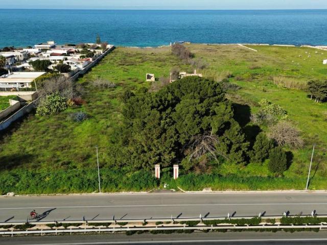 Villa Indipendente in vendita a Municipio 1, Puglia