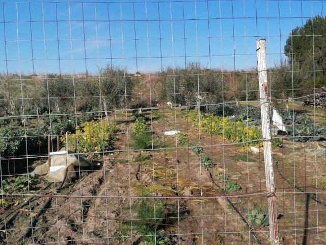 Villa Indipendente in vendita a Fiumara, Puglia