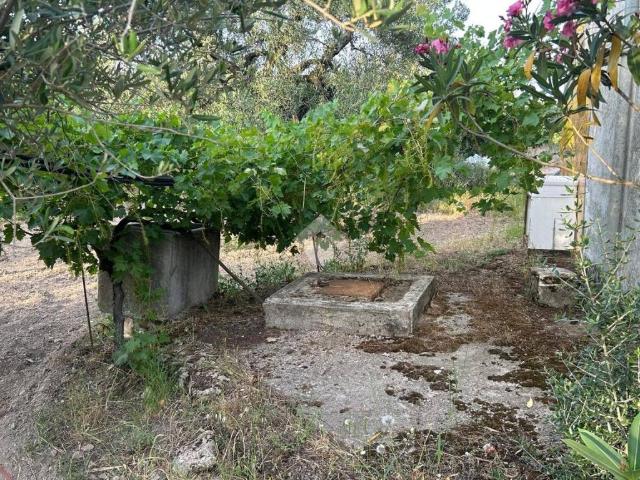 Villa Indipendente in vendita a Puglia, Barletta-andria-trani