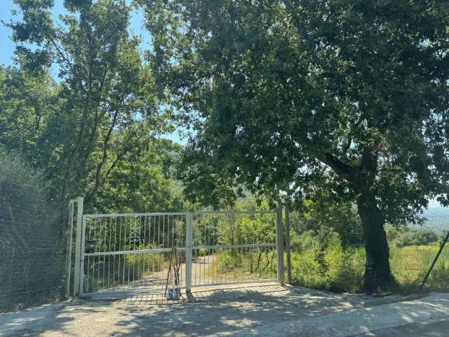 Villa Indipendente in vendita a Bellona