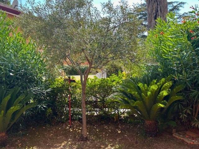 Villa Indipendente in vendita a Calabria, Cosenza