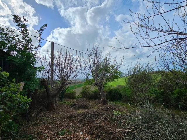 Villa Indipendente in vendita a Marche, Ancona