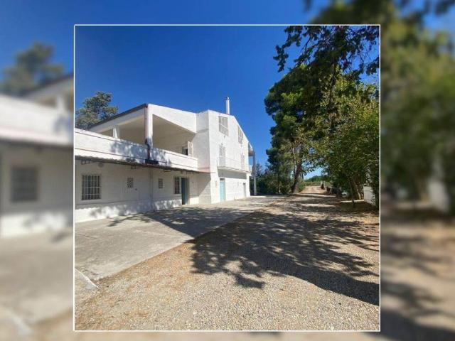 Villa Indipendente in vendita a Bernalda, Basilicata