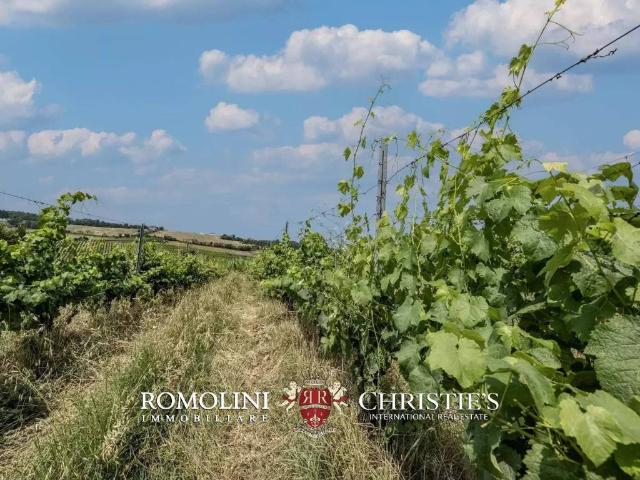 Villa Indipendente in vendita a Unione di Comuni della Romagna Forlivese, Bertinoro