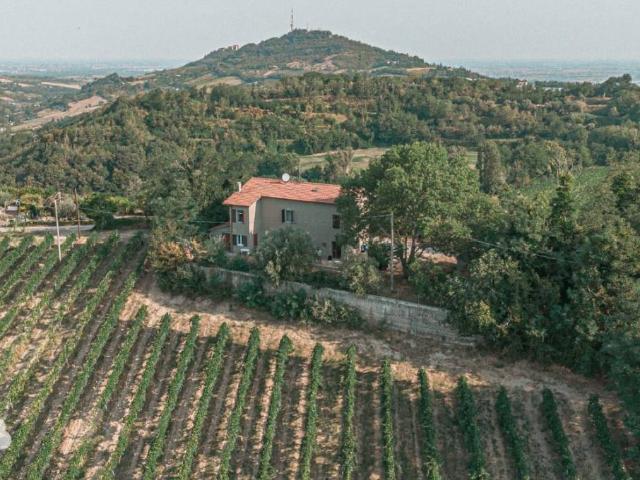 Villa Indipendente in vendita a Unione di Comuni della Romagna Forlivese, Bertinoro