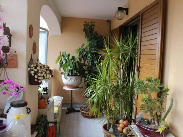 Villa Indipendente in vendita a Bibbona, Toscana