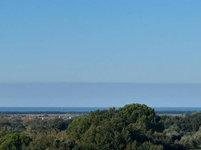 Villa Indipendente in vendita a Bibbona, Toscana