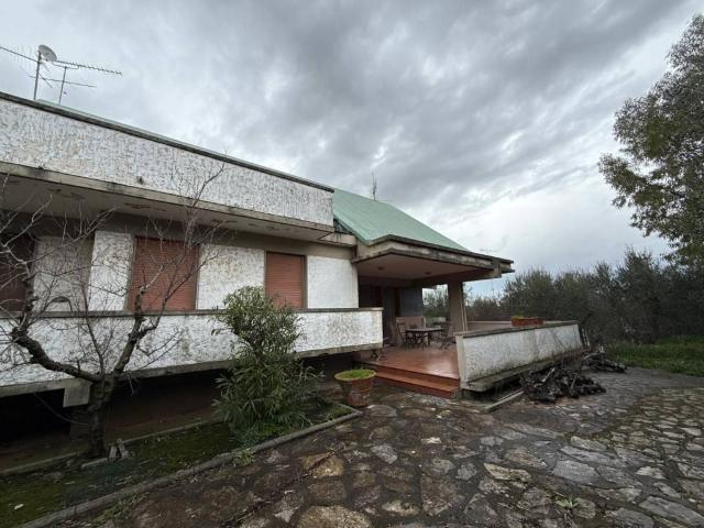 Villa Indipendente in vendita a Bibbona, Toscana