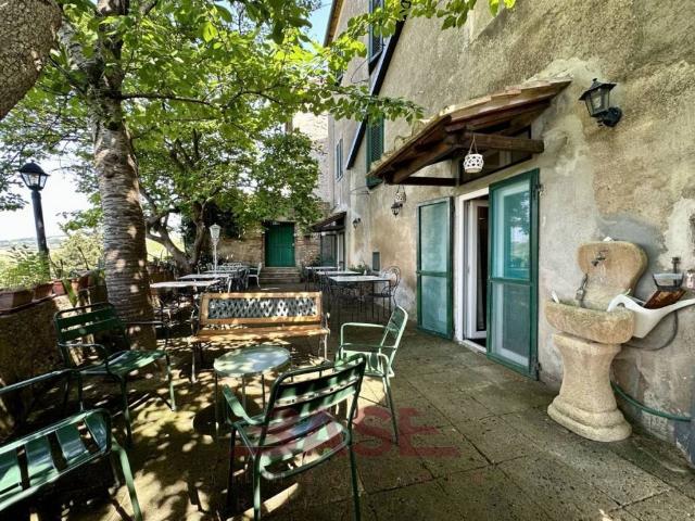 Villa Indipendente in vendita a Bibbona, Toscana