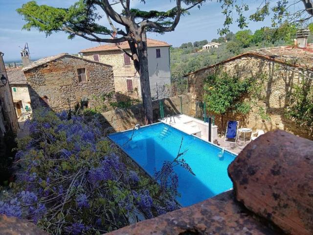 Villa Indipendente in vendita a Bibbona, Toscana