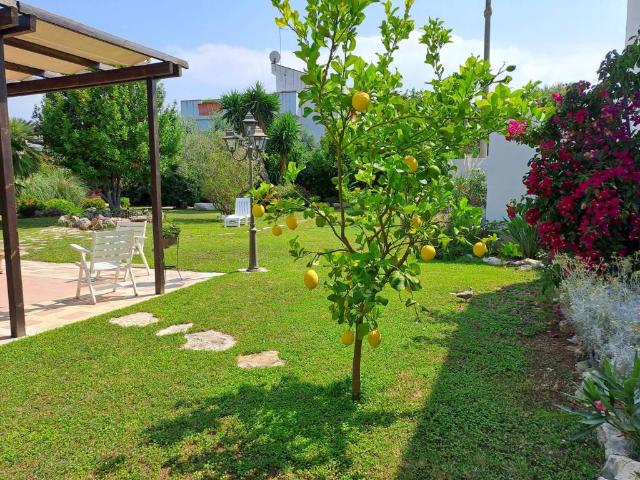 Villa Indipendente in vendita a Puglia, Barletta-andria-trani