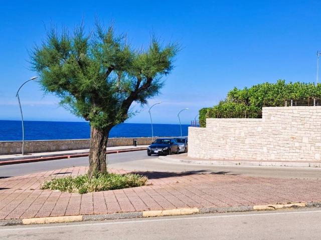 Villa Indipendente in vendita a Puglia, Barletta-andria-trani