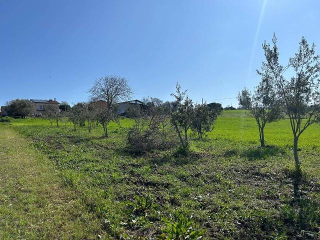 Villa Indipendente in vendita a Terre dell’Ufita, Bonito