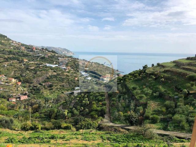 Villa Indipendente in vendita a Arziglia, Bordighera