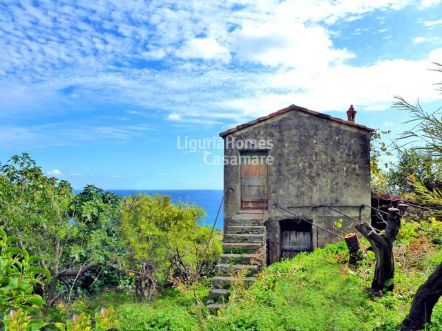 Villa Indipendente in vendita a Arziglia, Bordighera
