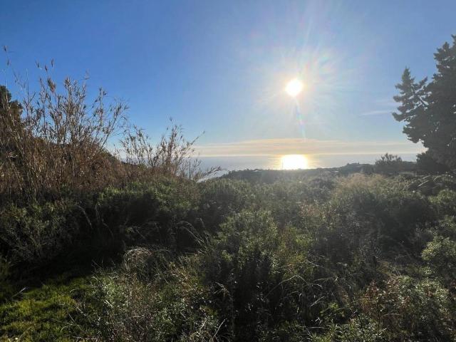 Villa Indipendente in vendita a Arziglia, Bordighera