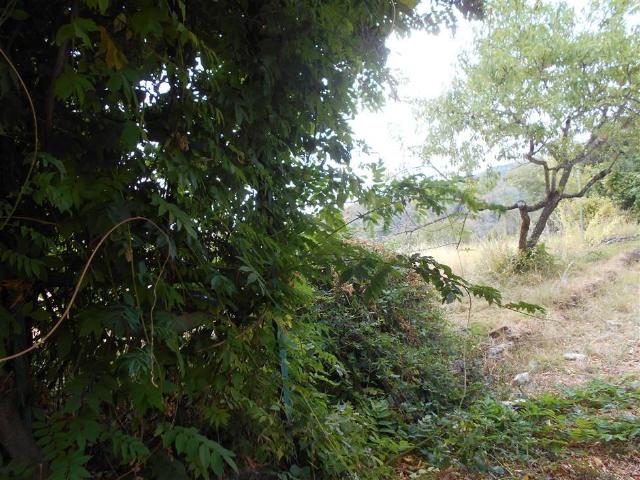 Villa Indipendente in vendita a Piemonte, Alessandria
