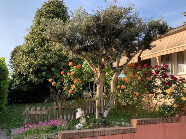 Villa Indipendente in vendita a Borghetto Lodigiano, Lombardia