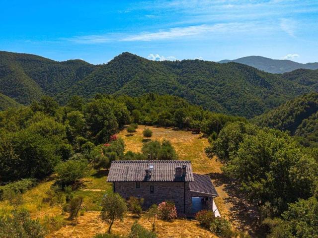 Villa Indipendente in vendita a Tassaia, Borgo San Lorenzo