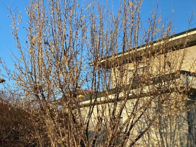 Villa Indipendente in vendita a Piemonte, Novara