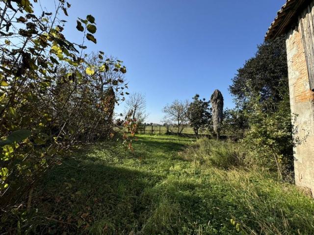 Villa Indipendente in vendita a Borgo Veneto, Megliadino San Fidenzio