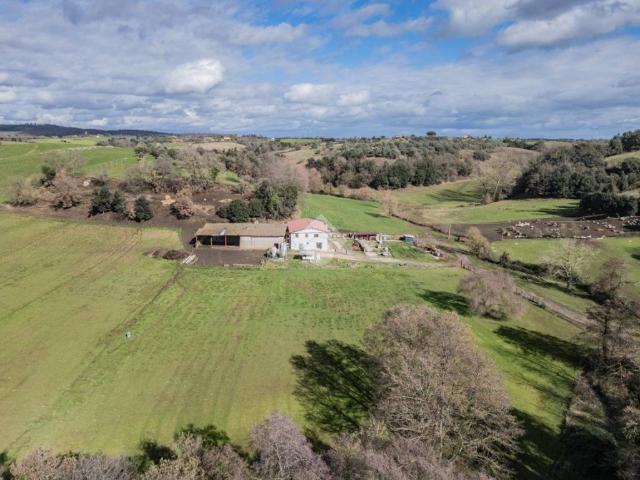 Villa Indipendente in vendita a Roma Capitale, Lazio
