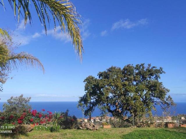 Villa Indipendente in vendita a Mandaradoni, Calabria