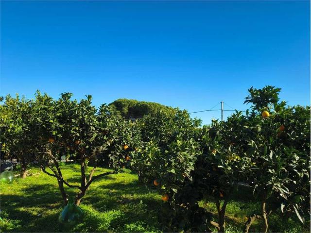 Villa Indipendente in vendita a Paradiso, Puglia