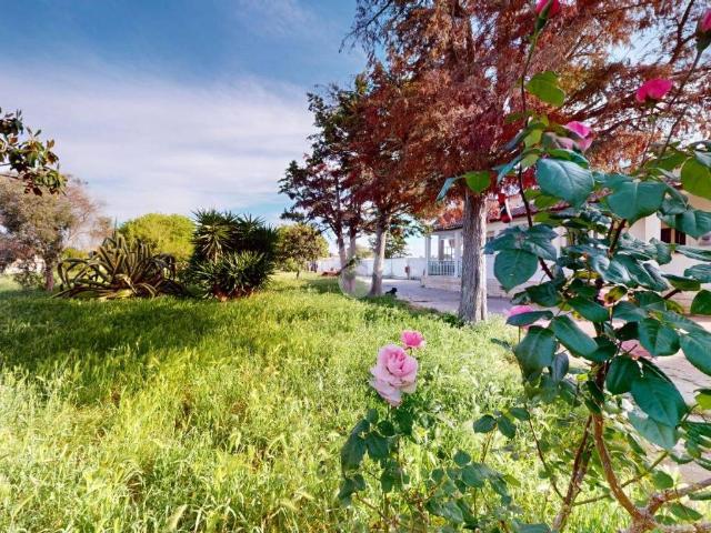 Villa Indipendente in vendita a Contrada Montenegro, Puglia
