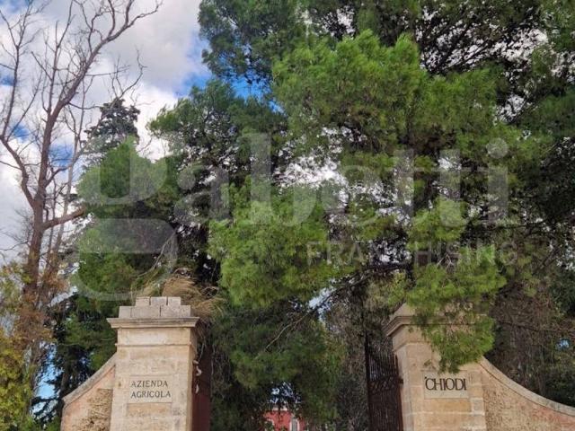 Villa Indipendente in vendita a Puglia, Brindisi