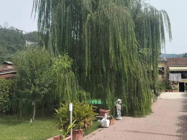 Villa Indipendente in vendita a Brugnato, La Spezia