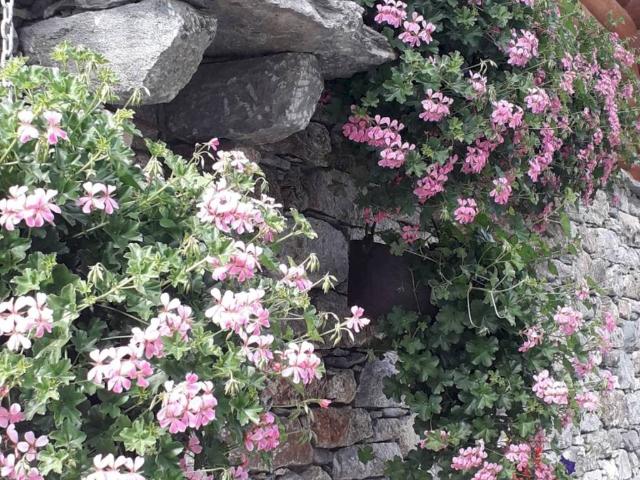 Villa Indipendente in vendita a Brusson, Aosta