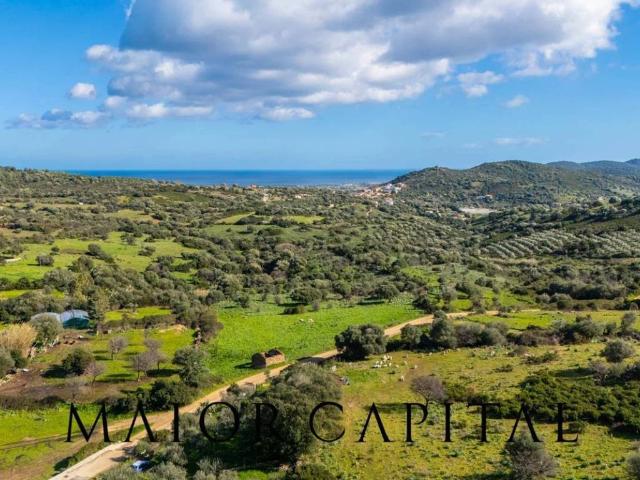 Villa Indipendente in vendita a Agrustos, Sardigna/Sardegna