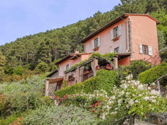 Villa Indipendente in vendita a La Croce, Buti