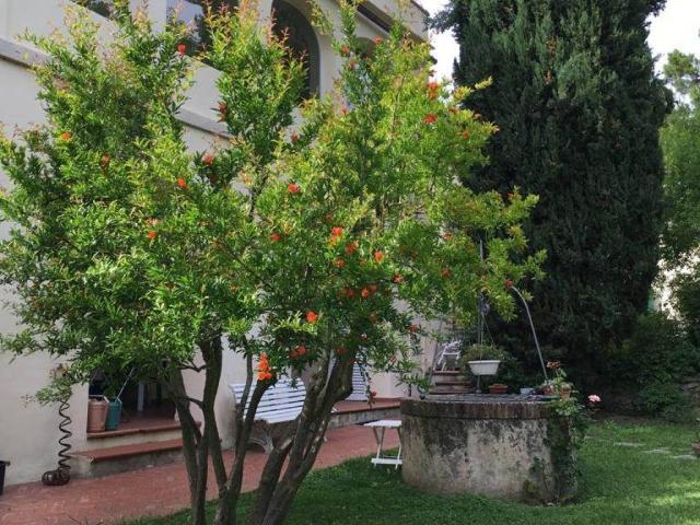 Villa Indipendente in vendita a Montemagno, Calci