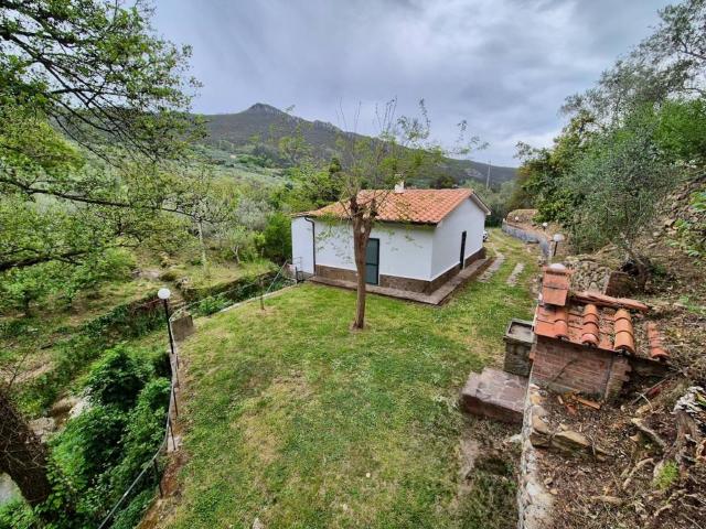 Villa Indipendente in vendita a Nicosia-Rezzano, Calci