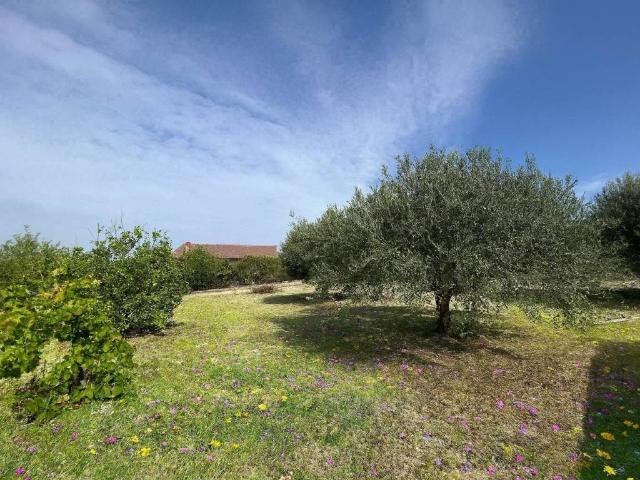 Villa Indipendente in vendita a Borgo Canicassè Casale, Caltanissetta