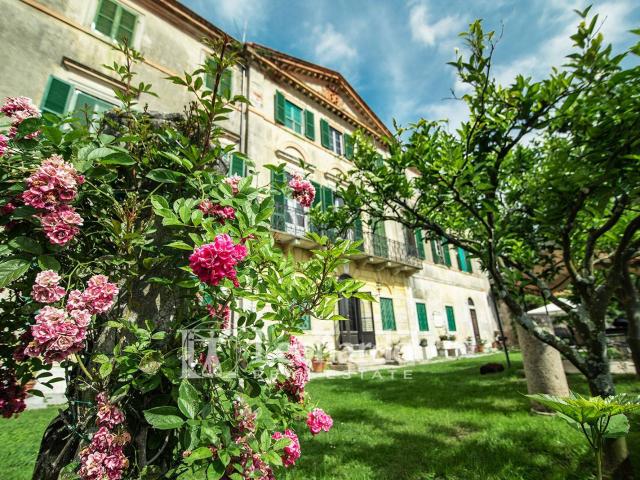 Villa Indipendente in vendita a Camaiore, Toscana