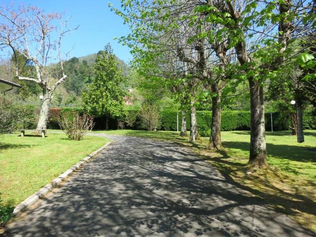 Villa Indipendente in vendita a Arancio, Camaiore