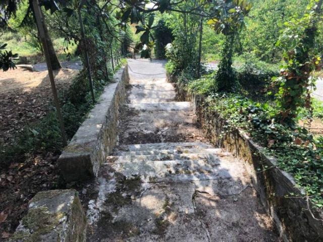 Villa Indipendente in vendita a Arancio, Camaiore