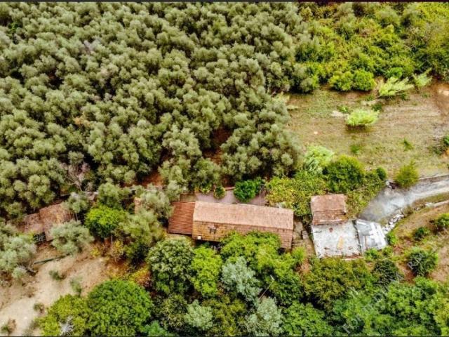 Villa Indipendente in vendita a Pieve, Camaiore