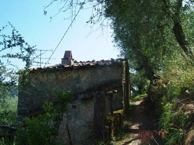 Villa Indipendente in vendita a Torcigliano, Camaiore