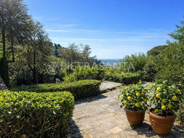 Villa Indipendente in vendita a Camaiore, Toscana